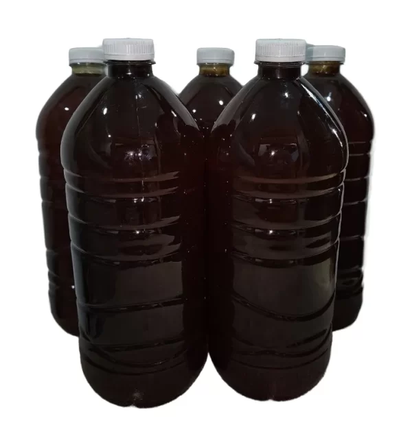 Promo 12L — Miel Melipona + Envío Nacional Gratis